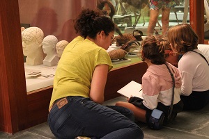 Dibuixem insectes al Museu Darder